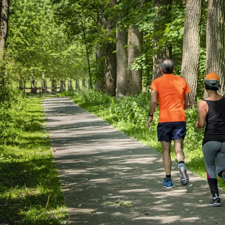 Wellness and recovery focused fitness environment